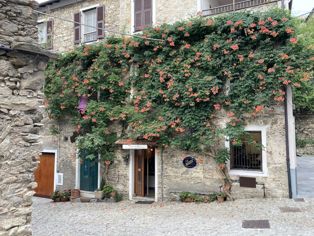 a building with a bunch of flowers growing on it