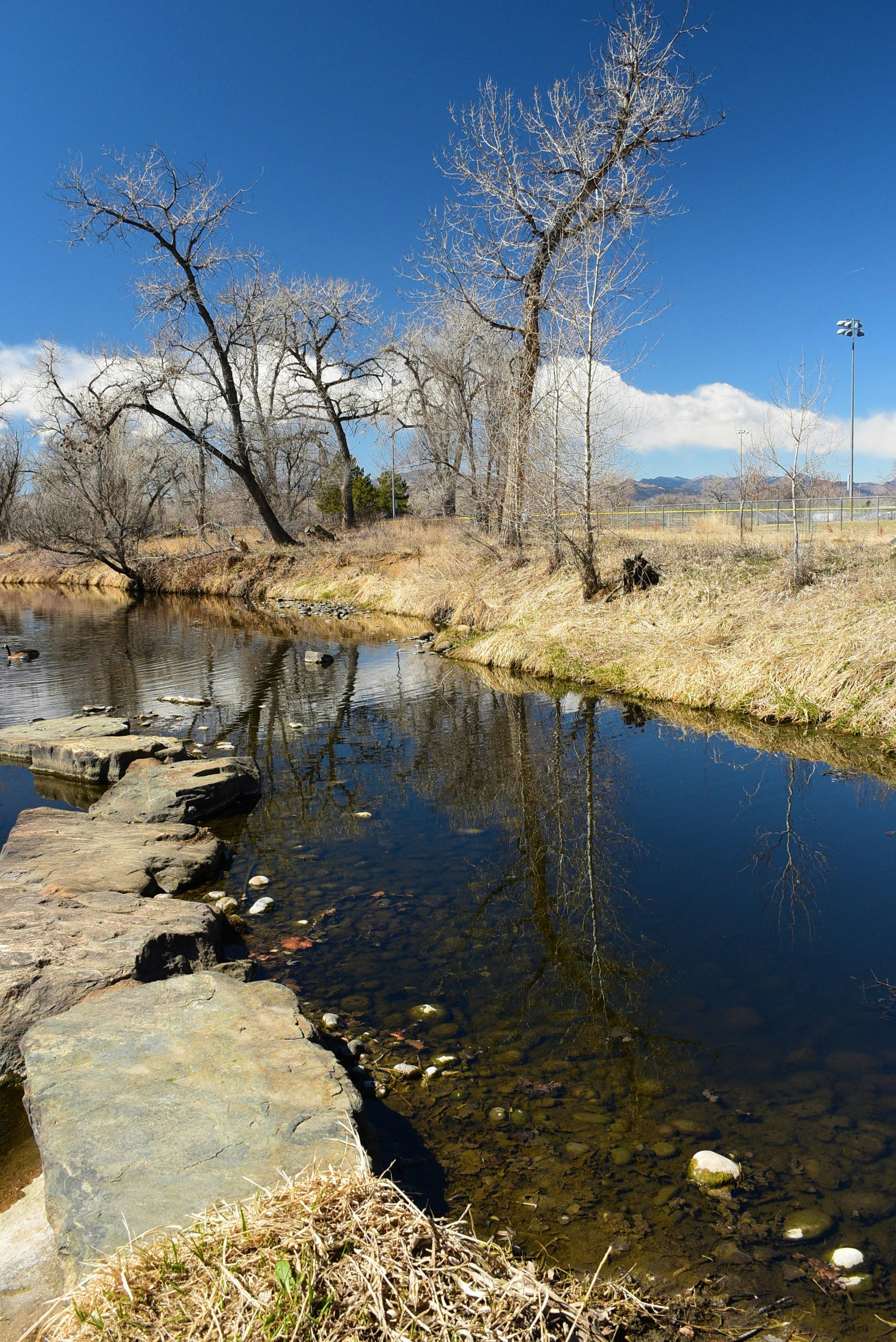 a stream running through a dry grass covered field