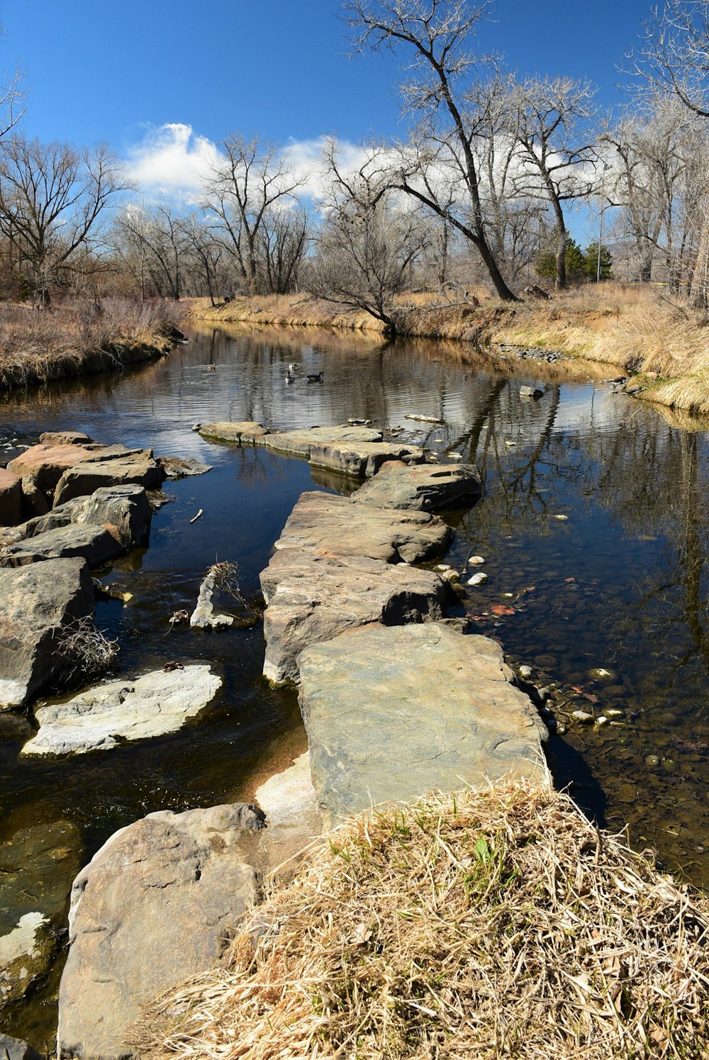 a river with rocks in the middle of it