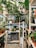 A small indoor garden setup with multiple wooden shelves filled with a variety of potted plants, including ferns, snake plants, and other leafy greens. The setup includes a white humidifier on the floor and several bags of potting soil on one of the shelves. The space is organized and lush, with vibrant green foliage.