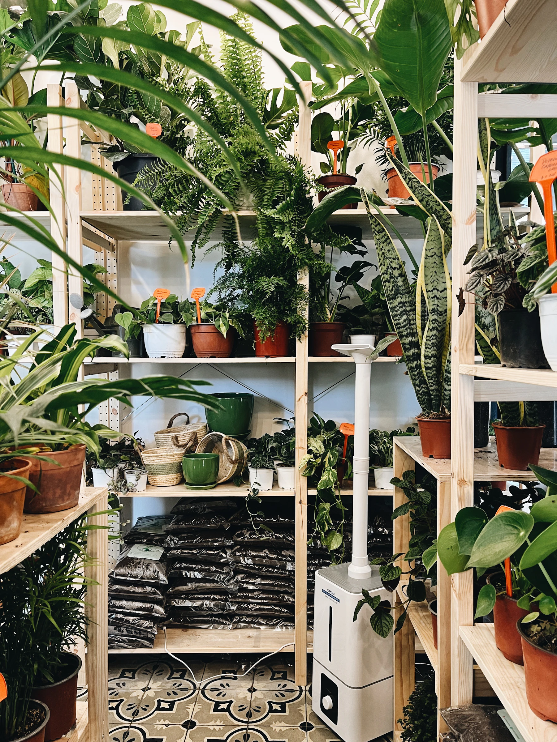 A room filled with lots of potted plants
