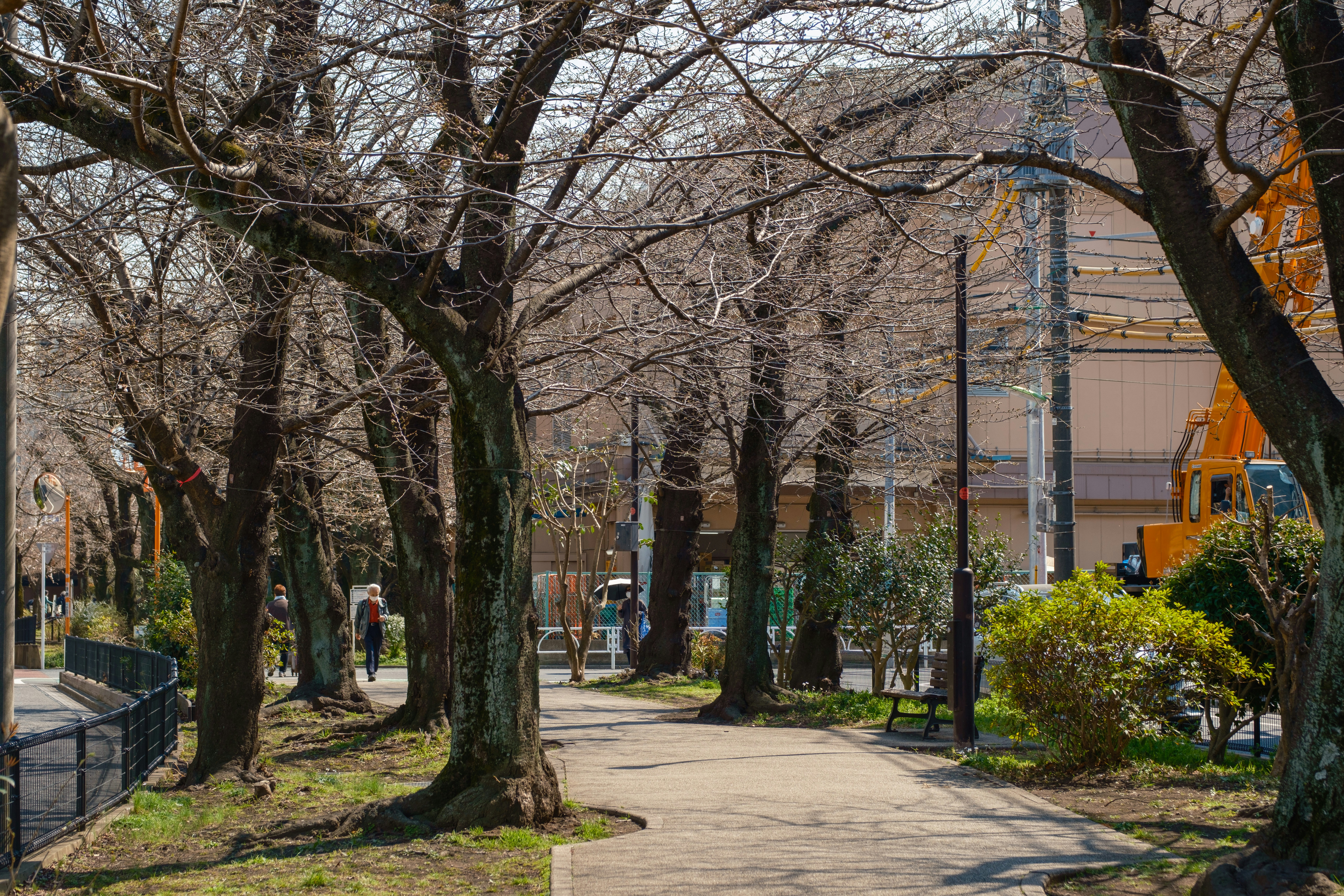 Photo by manueltaka