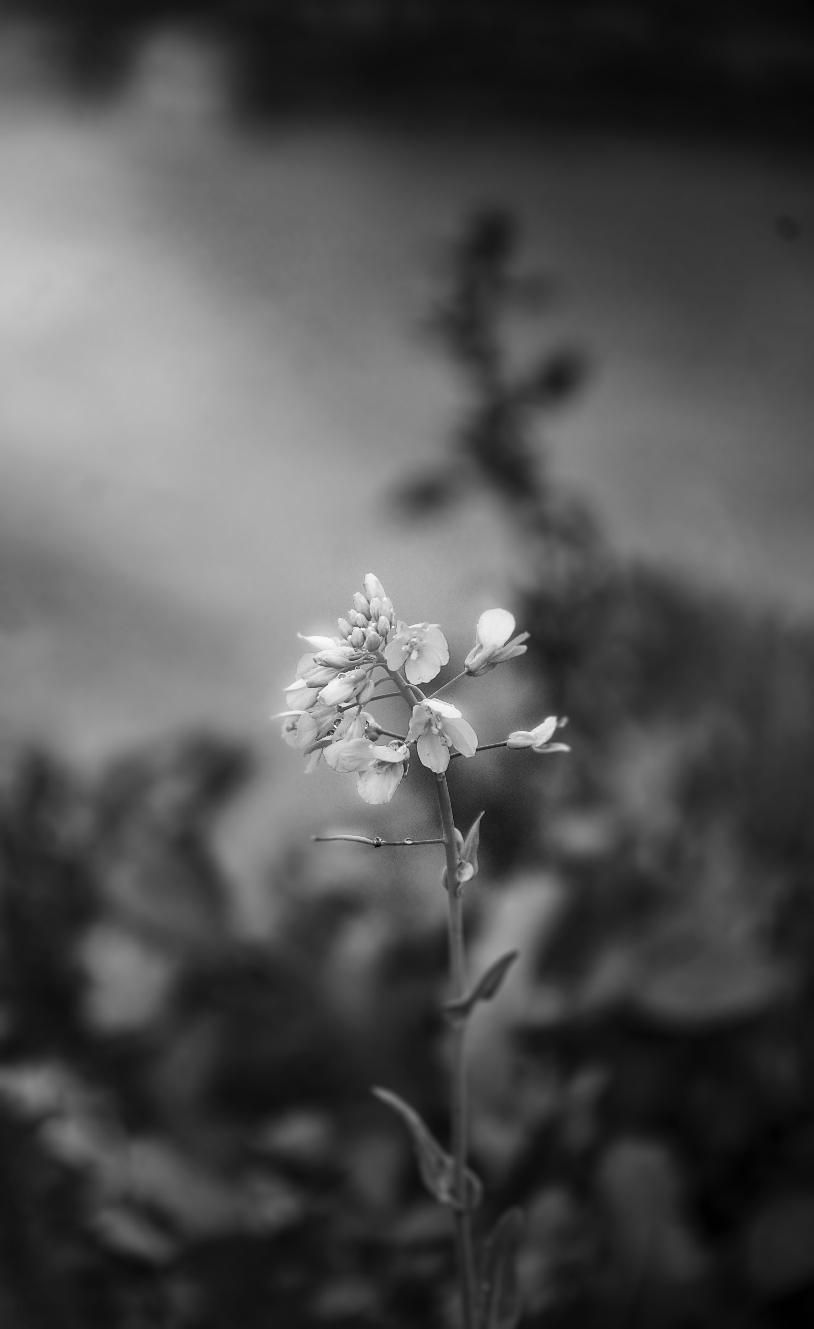 Photo by iamarsh_original