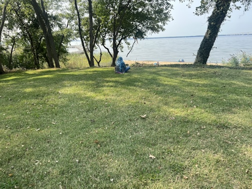 A peaceful scene of a family outdoors, meditating by a lake.