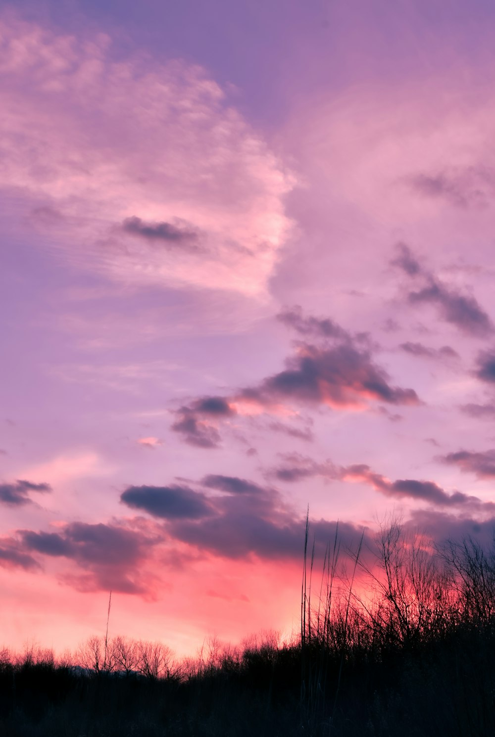 a pink and purple sky with some clouds