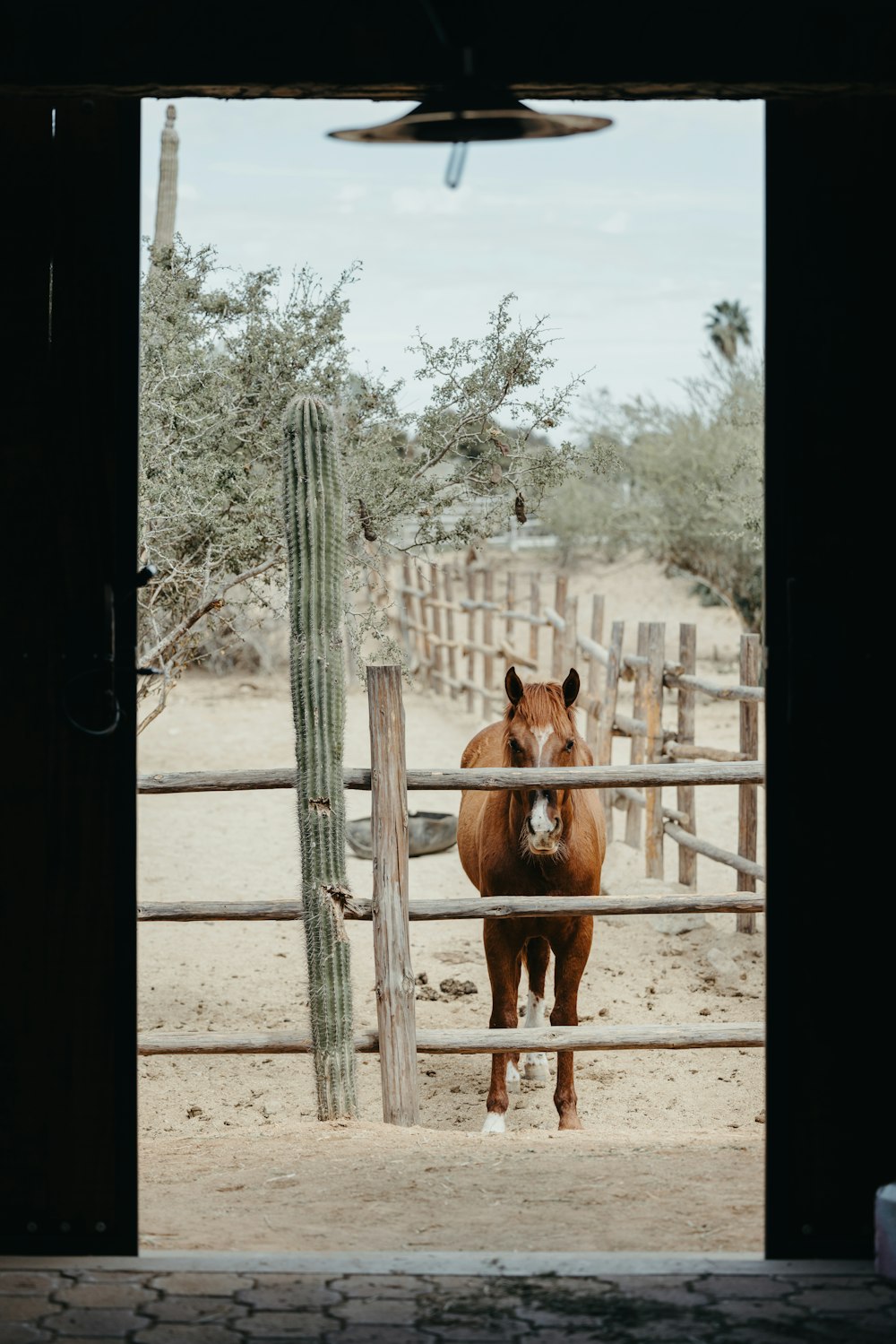a brown horse standing next to a wooden fence