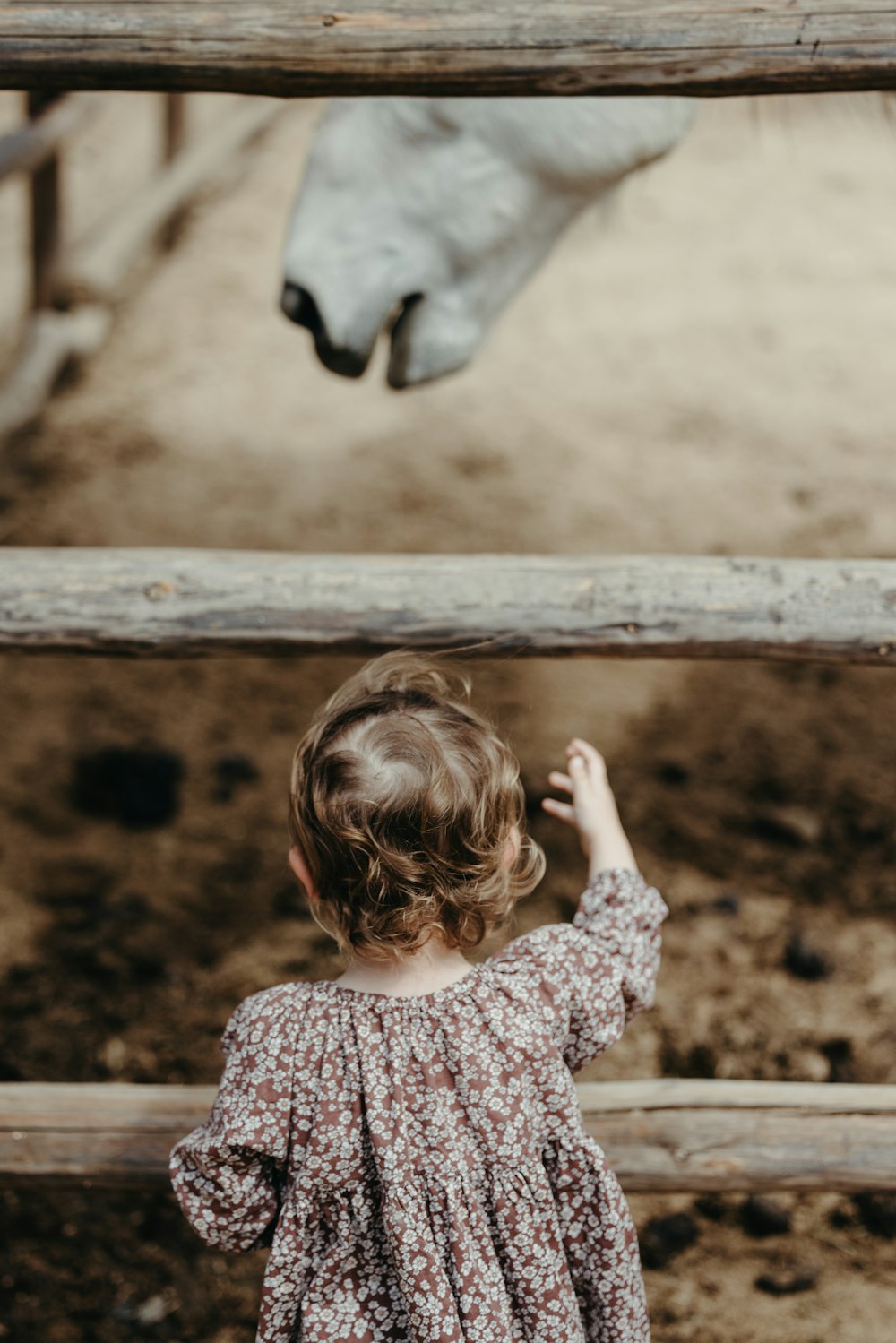 a little girl standing in front of a white horse