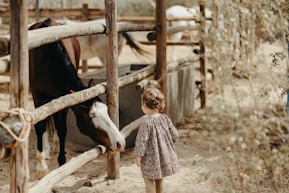 a little girl standing in front of a horse