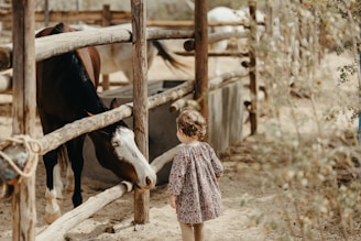A young child with curly hair and a patterned dress stands near a wooden fence, facing a brown and white horse that is leaning over the fence. The setting appears to be a sandy, rustic outdoor area surrounded by trees and wooden enclosures.