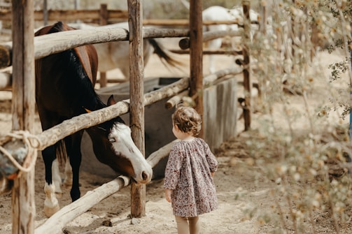 A young child with curly hair and a patterned dress stands near a wooden fence, facing a brown and white horse that is leaning over the fence. The setting appears to be a sandy, rustic outdoor area surrounded by trees and wooden enclosures.