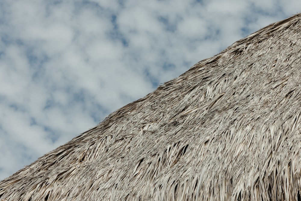 a close up of a thatch roof with clouds in the background