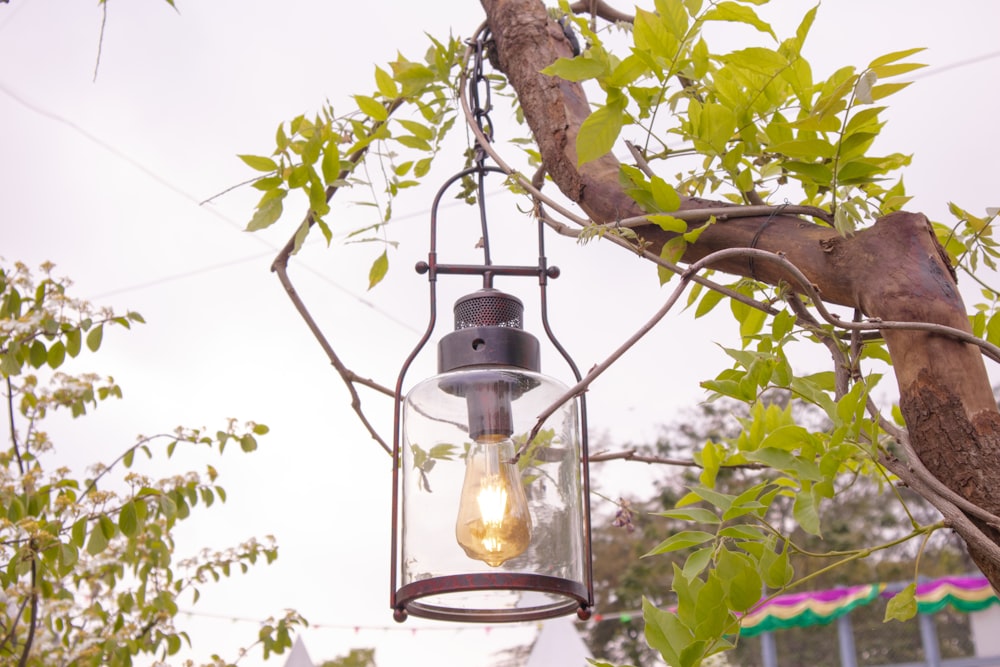 a lantern hanging from a tree branch with a light bulb hanging from it