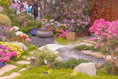 a garden filled with lots of different types of flowers