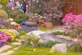 a garden filled with lots of different types of flowers