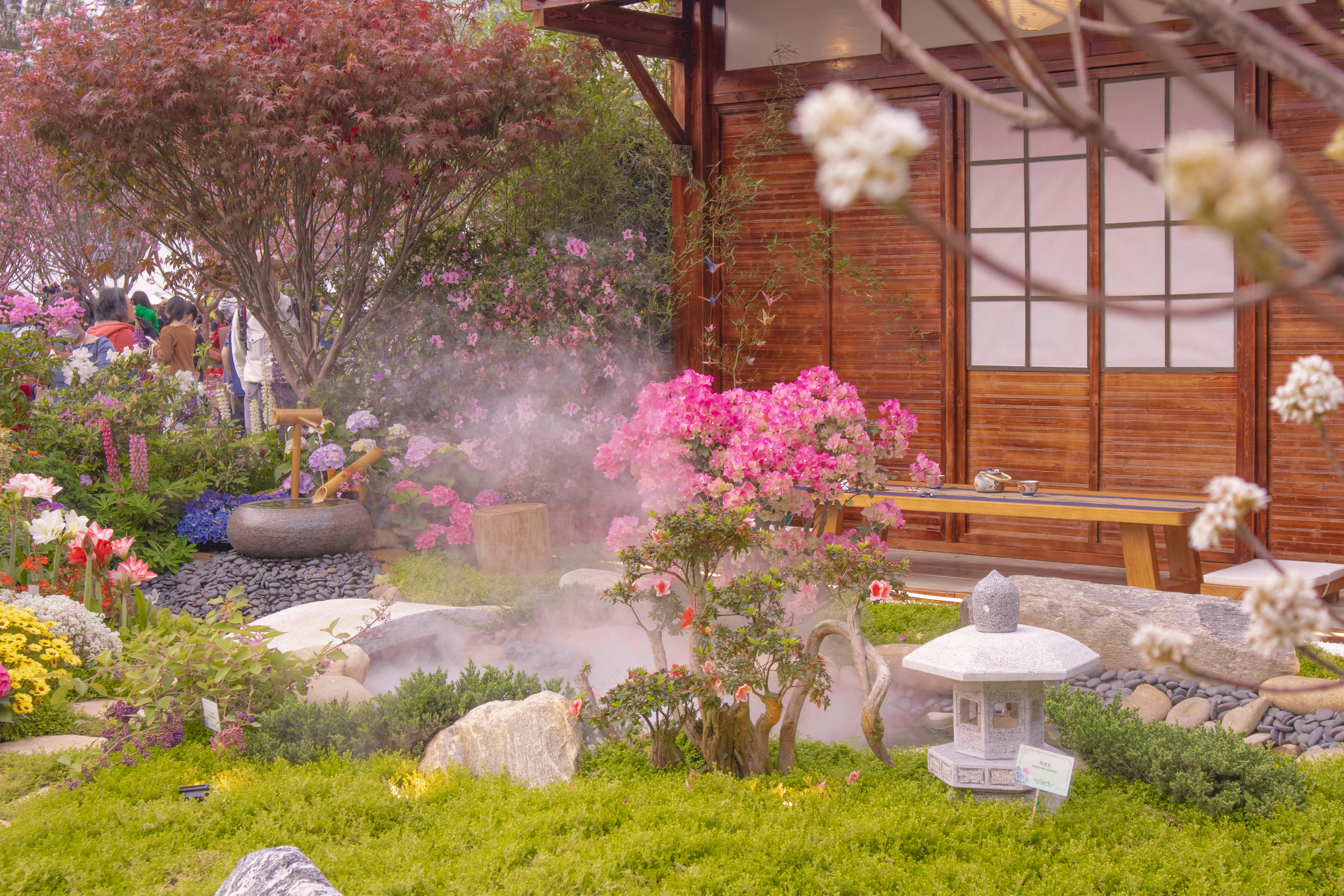 A garden with a hot spring in the middle of it photo – Free Nature ...