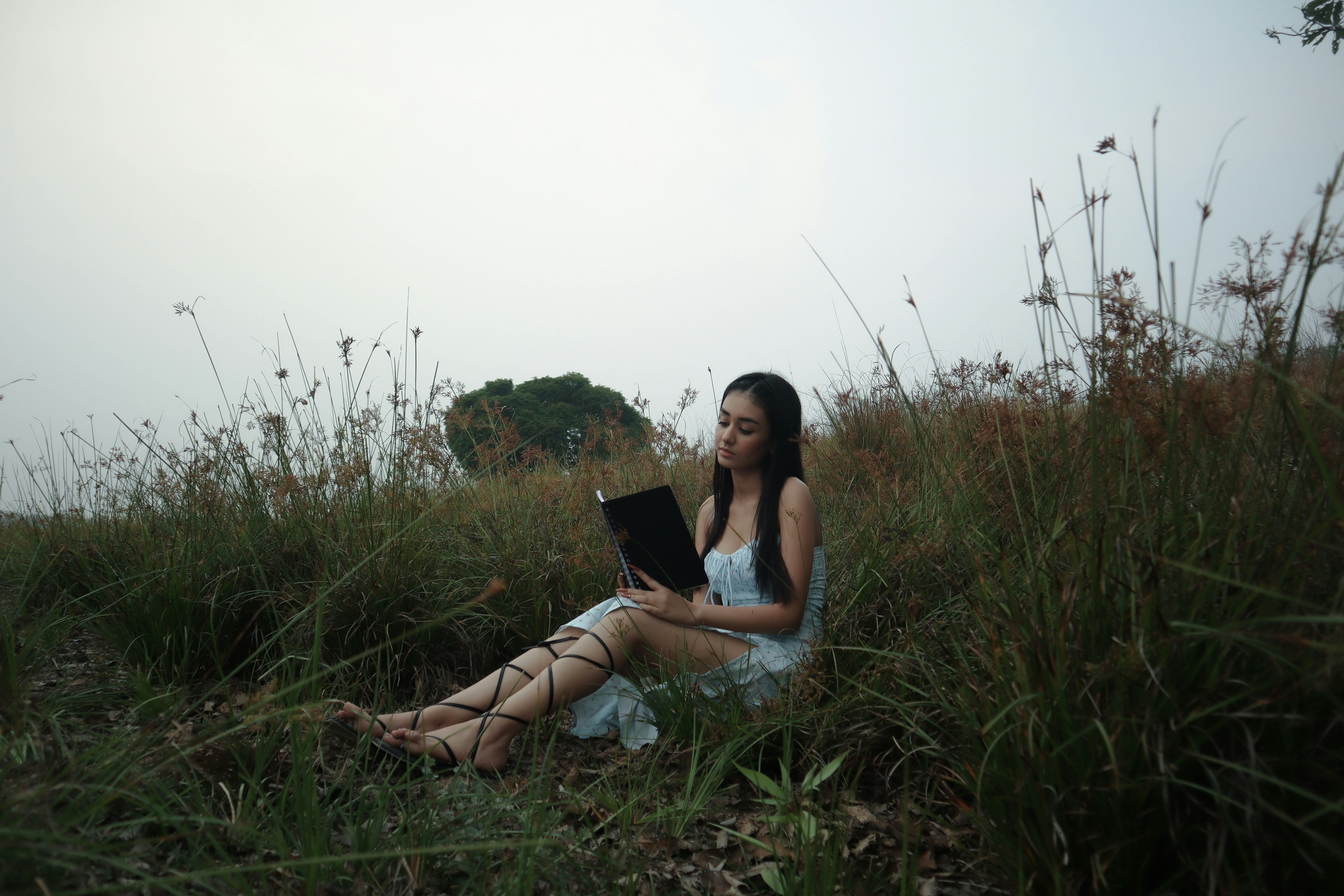 a woman sitting in a field with a laptop