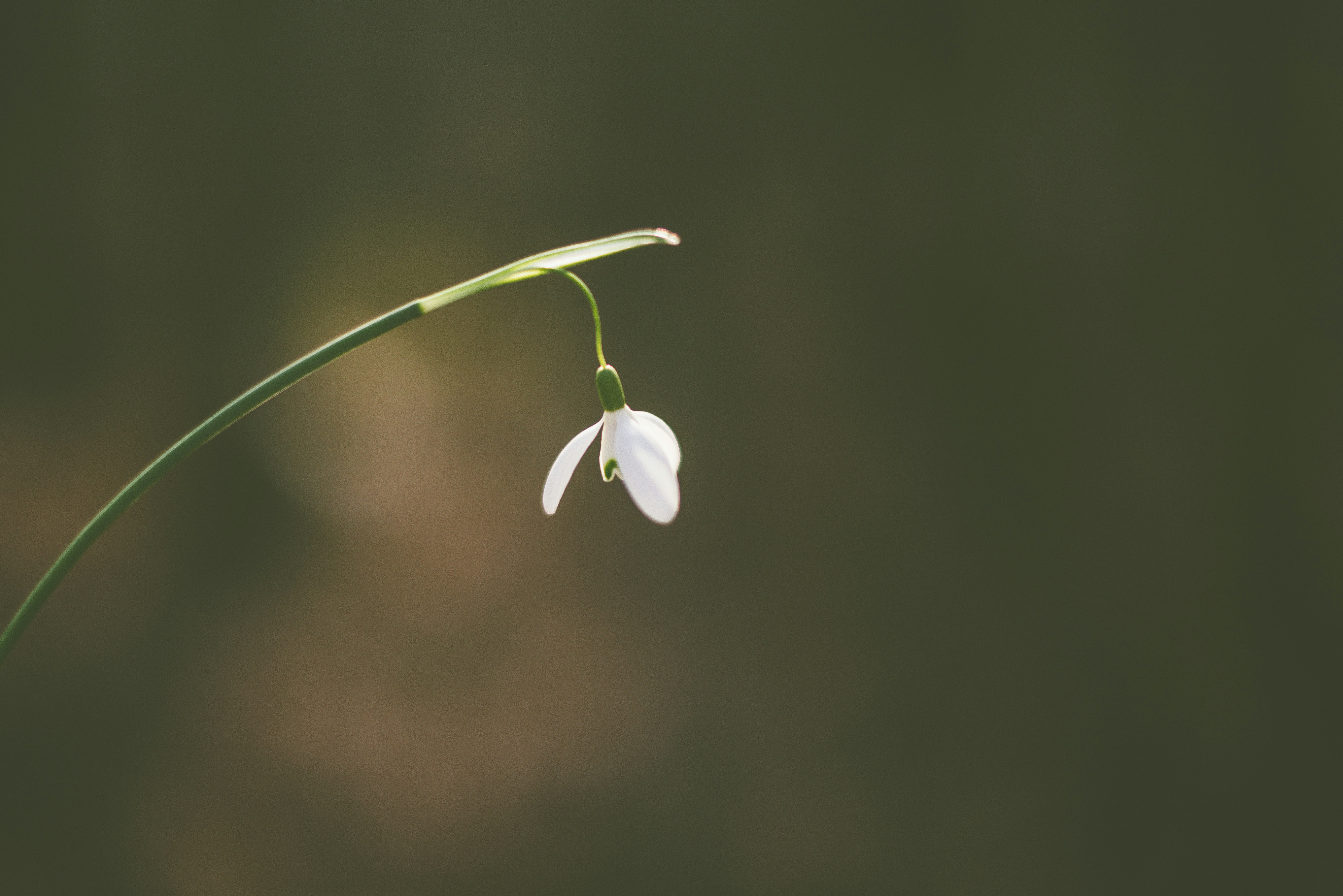 Photo by anitaaustvika