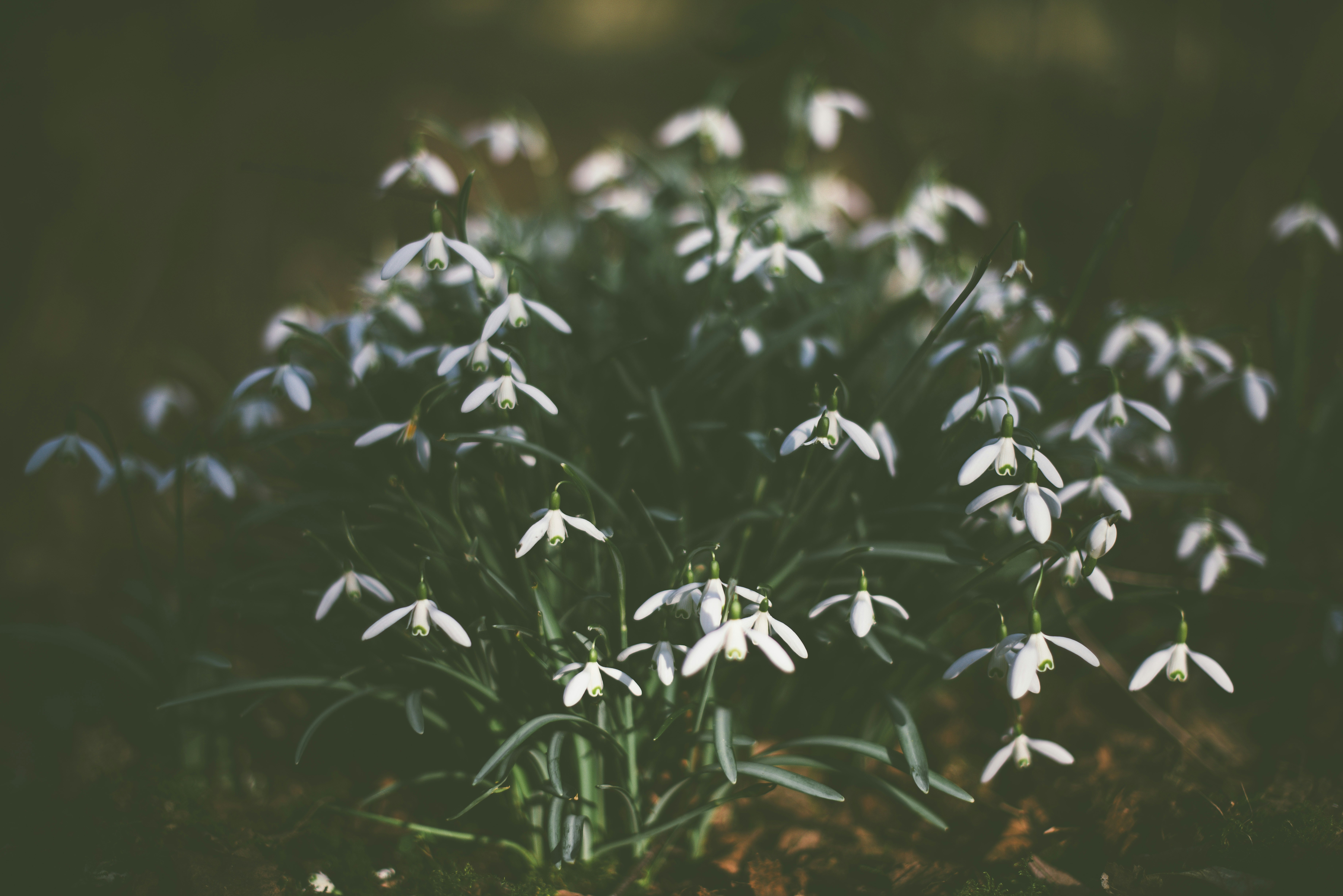 Photo by anitaaustvika
