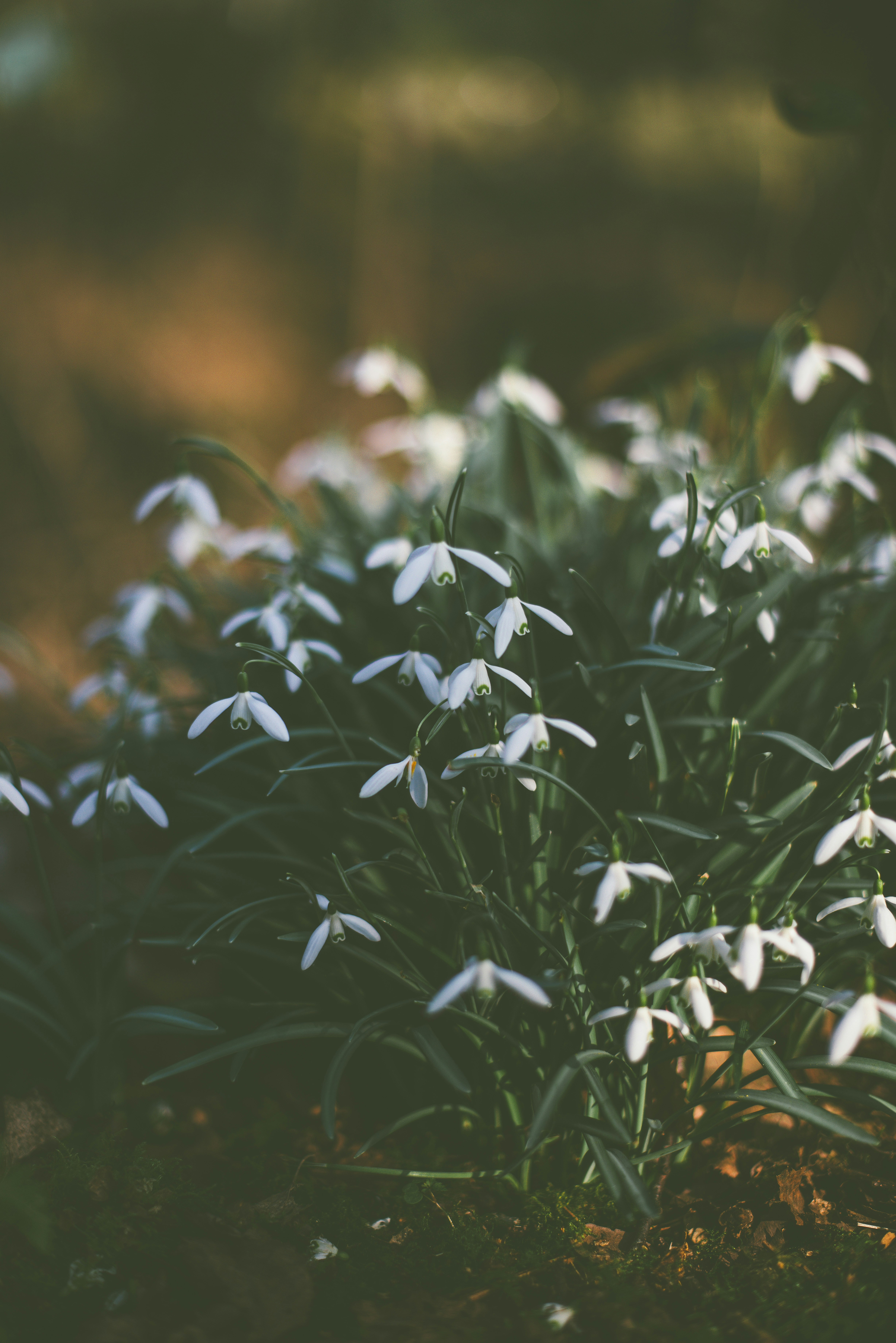 Photo by anitaaustvika