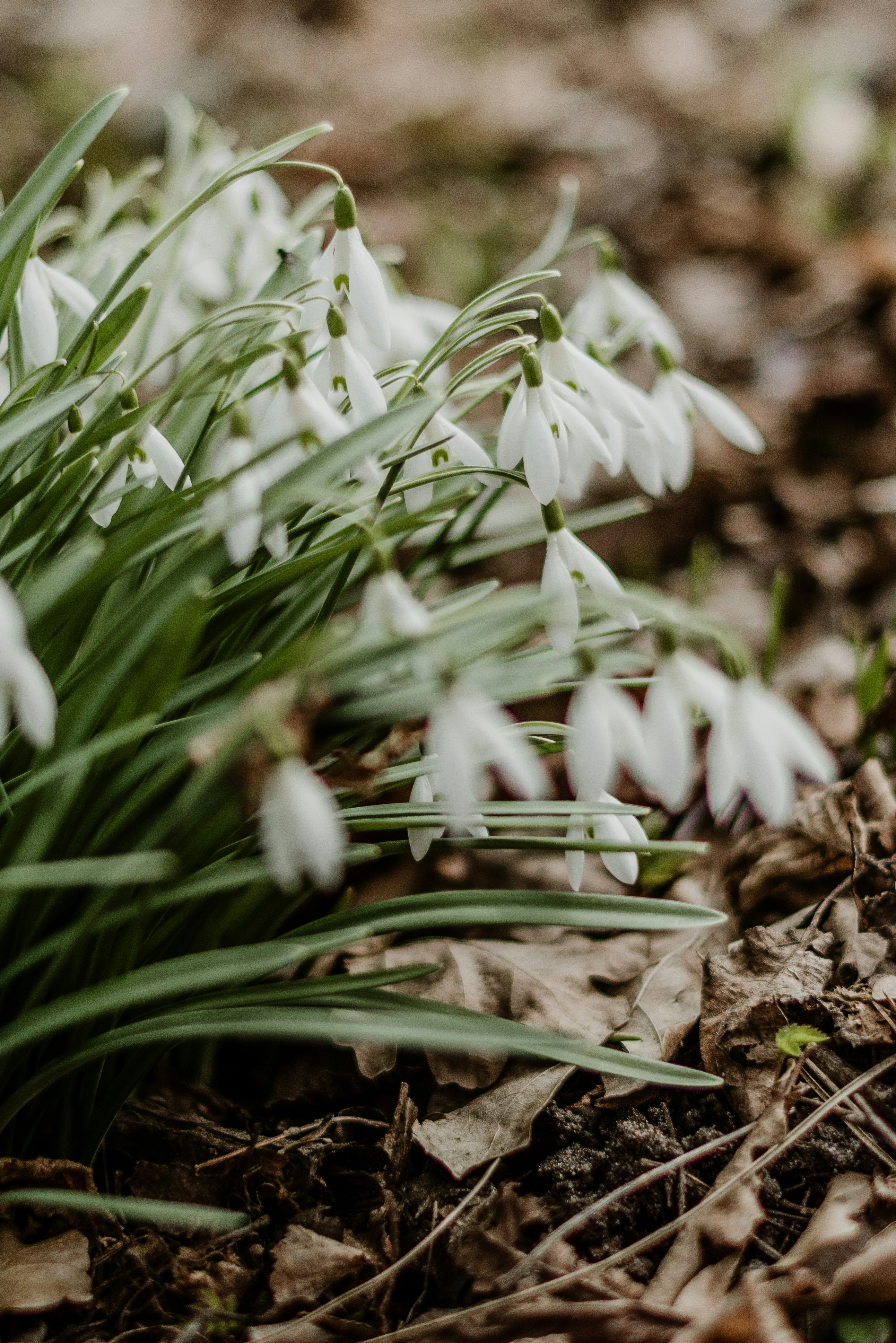 Photo by anitaaustvika