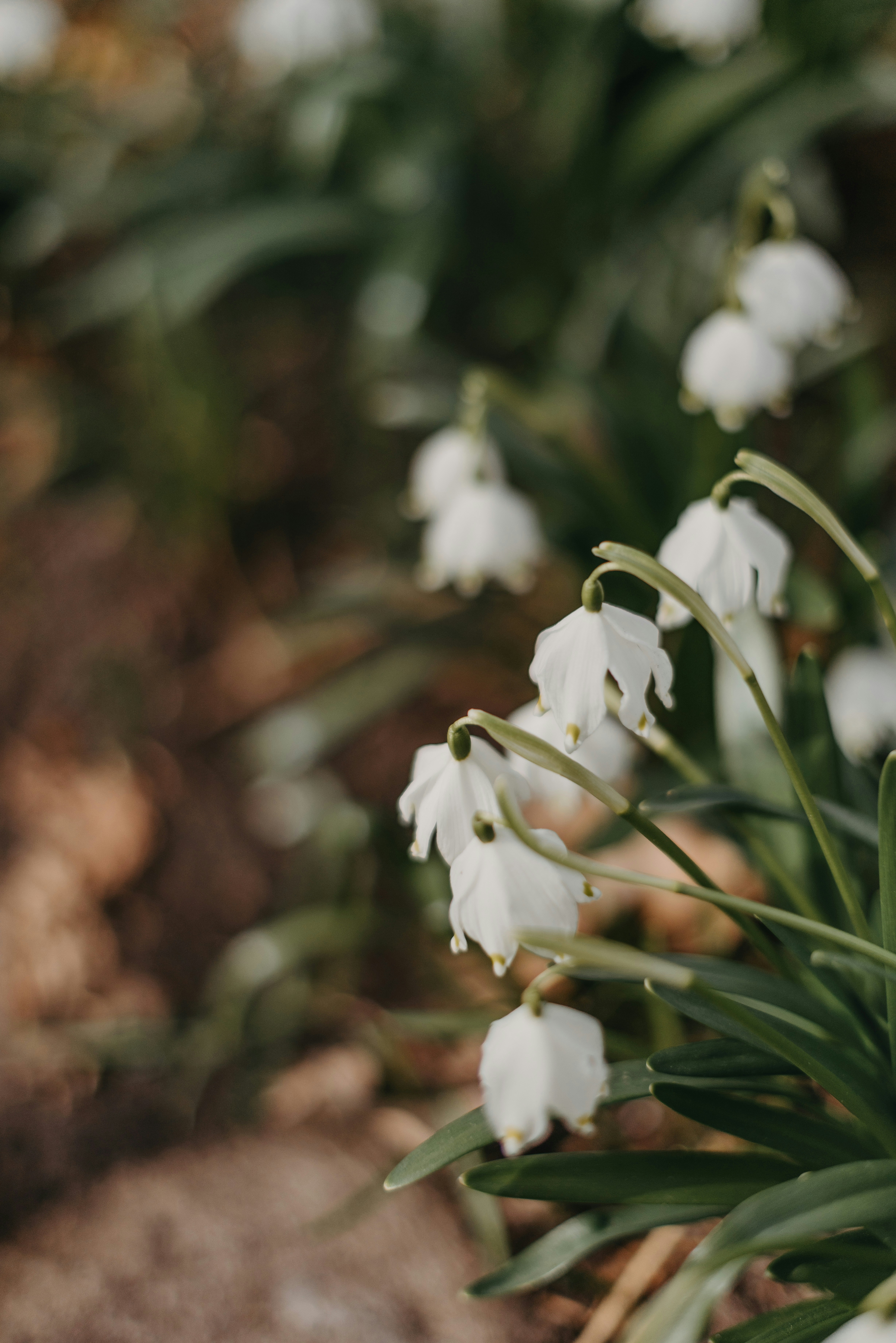 Photo by anitaaustvika