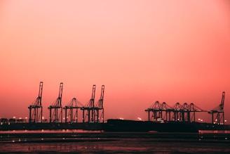 a group of cranes sitting next to a body of water