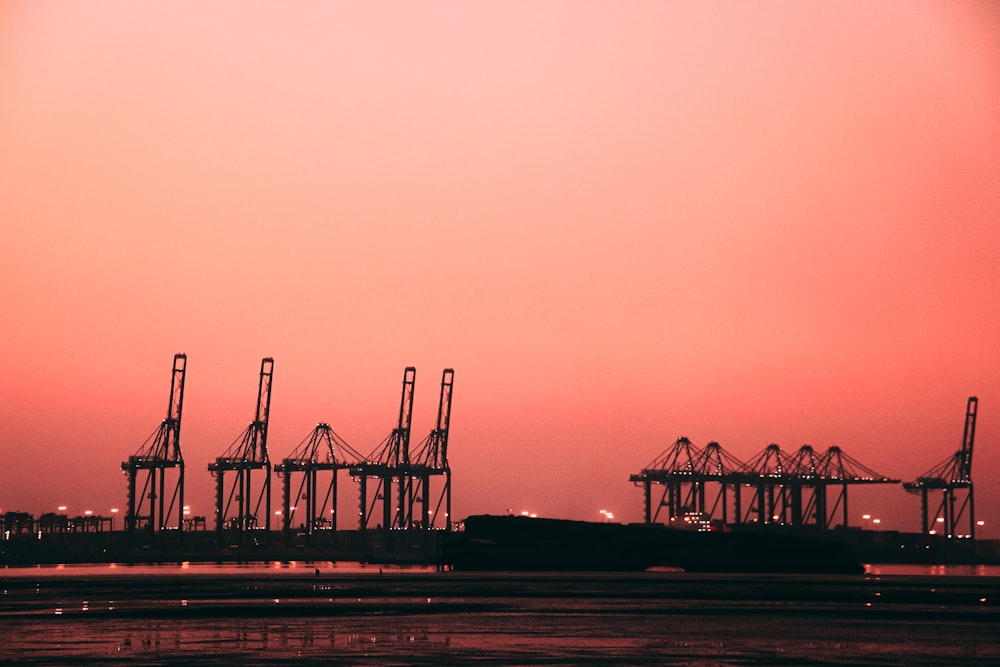 a group of cranes sitting next to a body of water