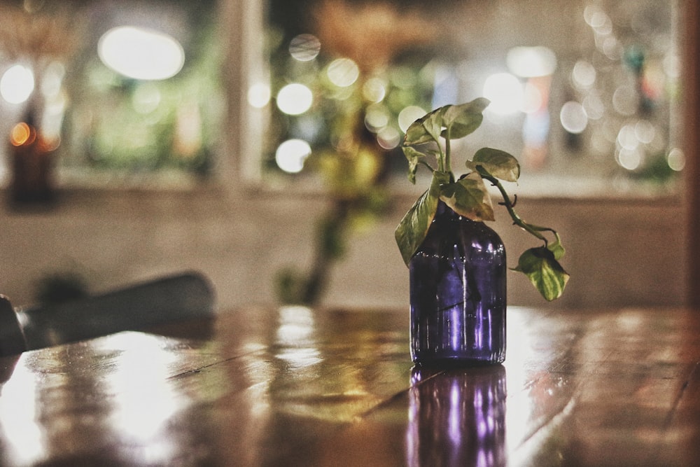 a purple vase with a plant in it on a table