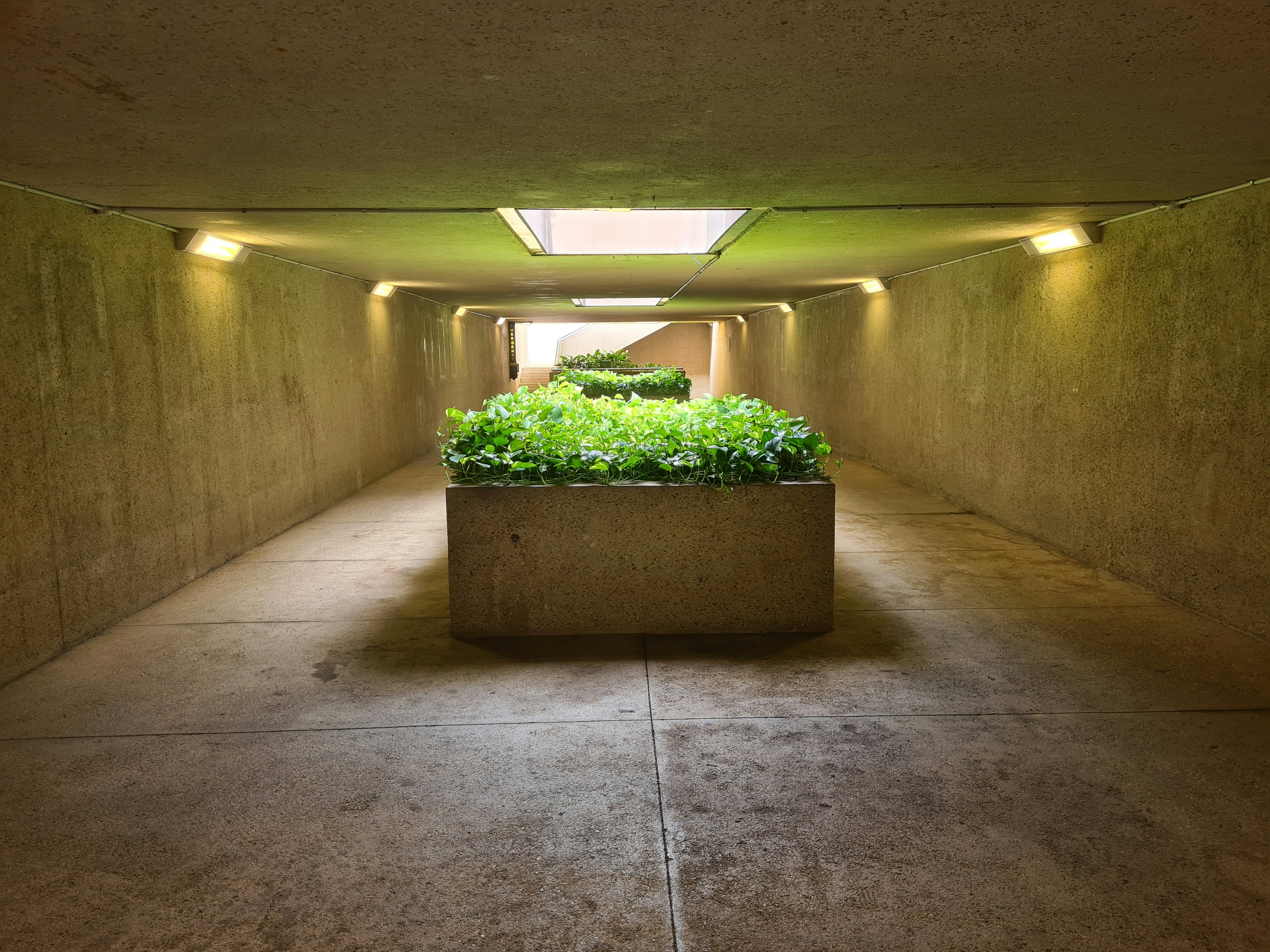 Underground Cities and Bunker Farming (image credits: unsplash)
