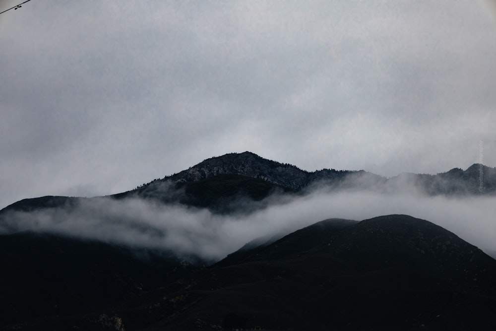 a bird flying over a mountain covered in clouds