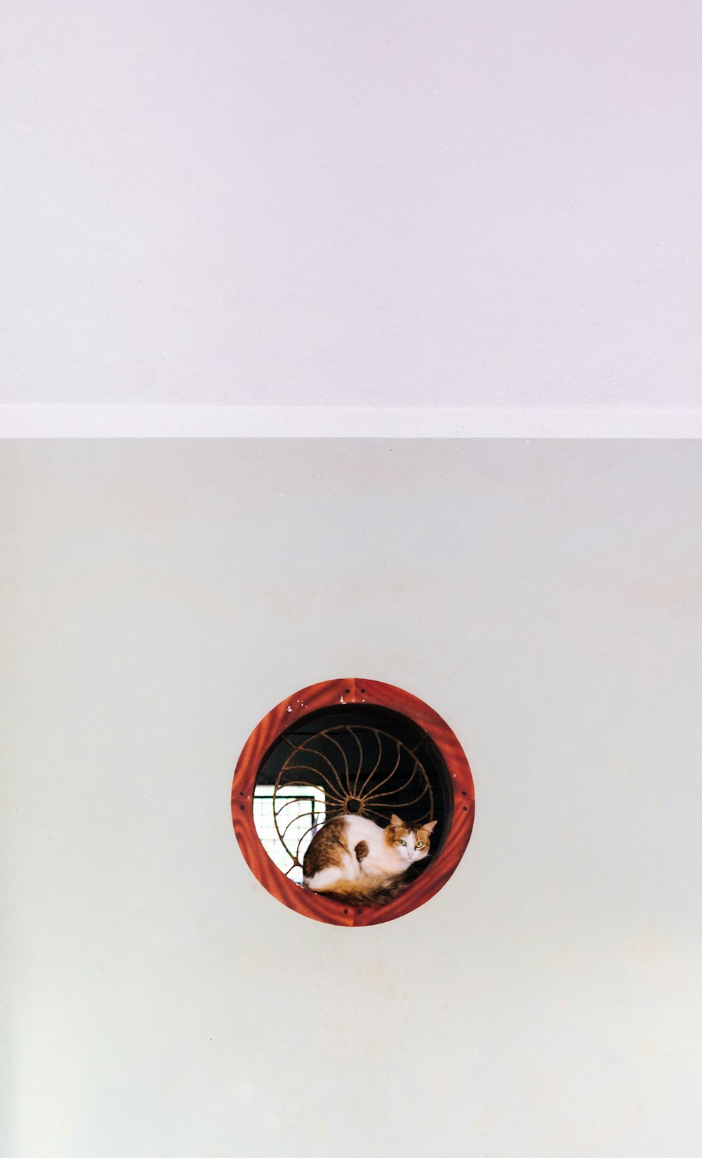 a cat sitting inside of a round window