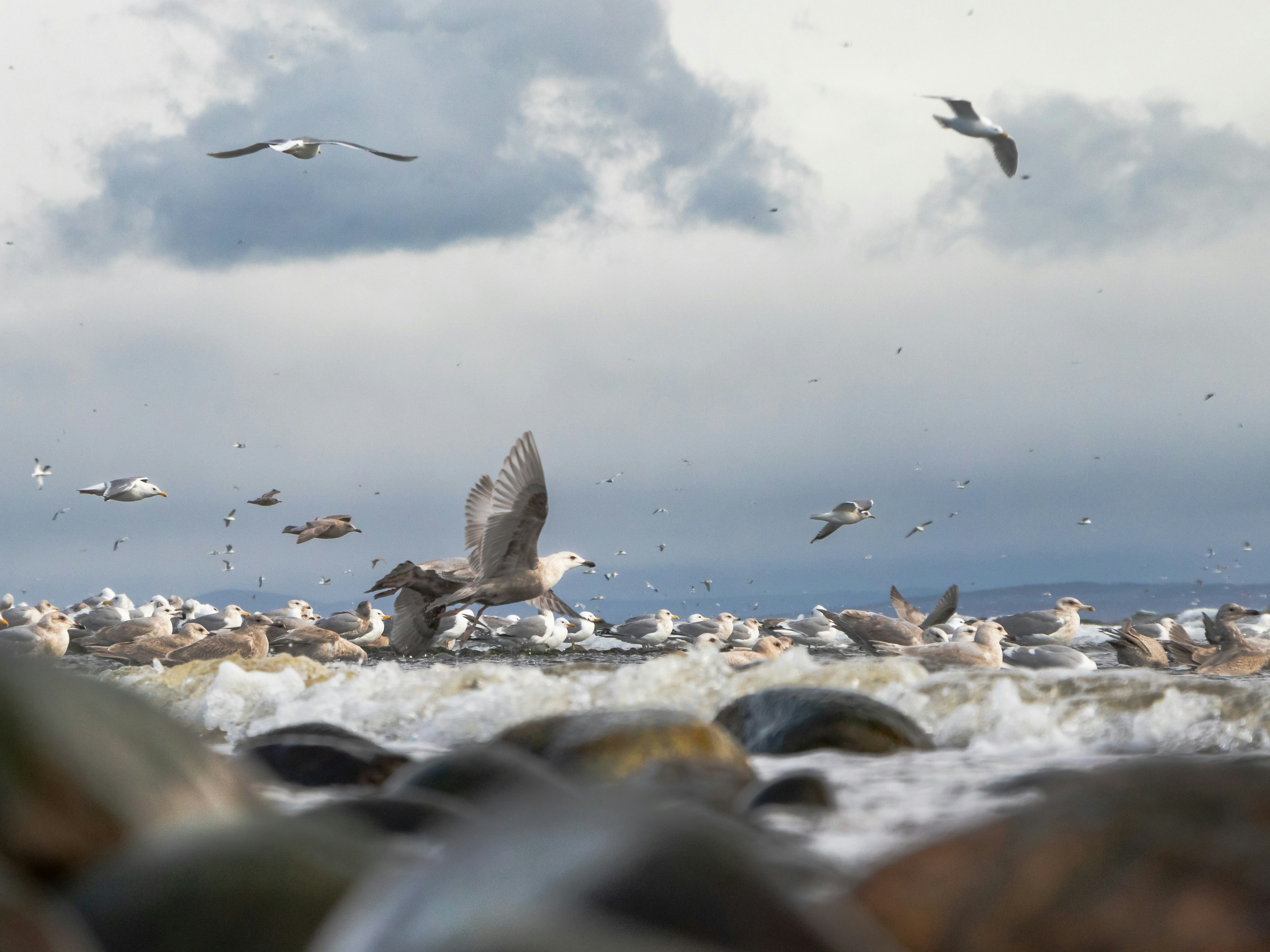 Photo by greg_rosenke