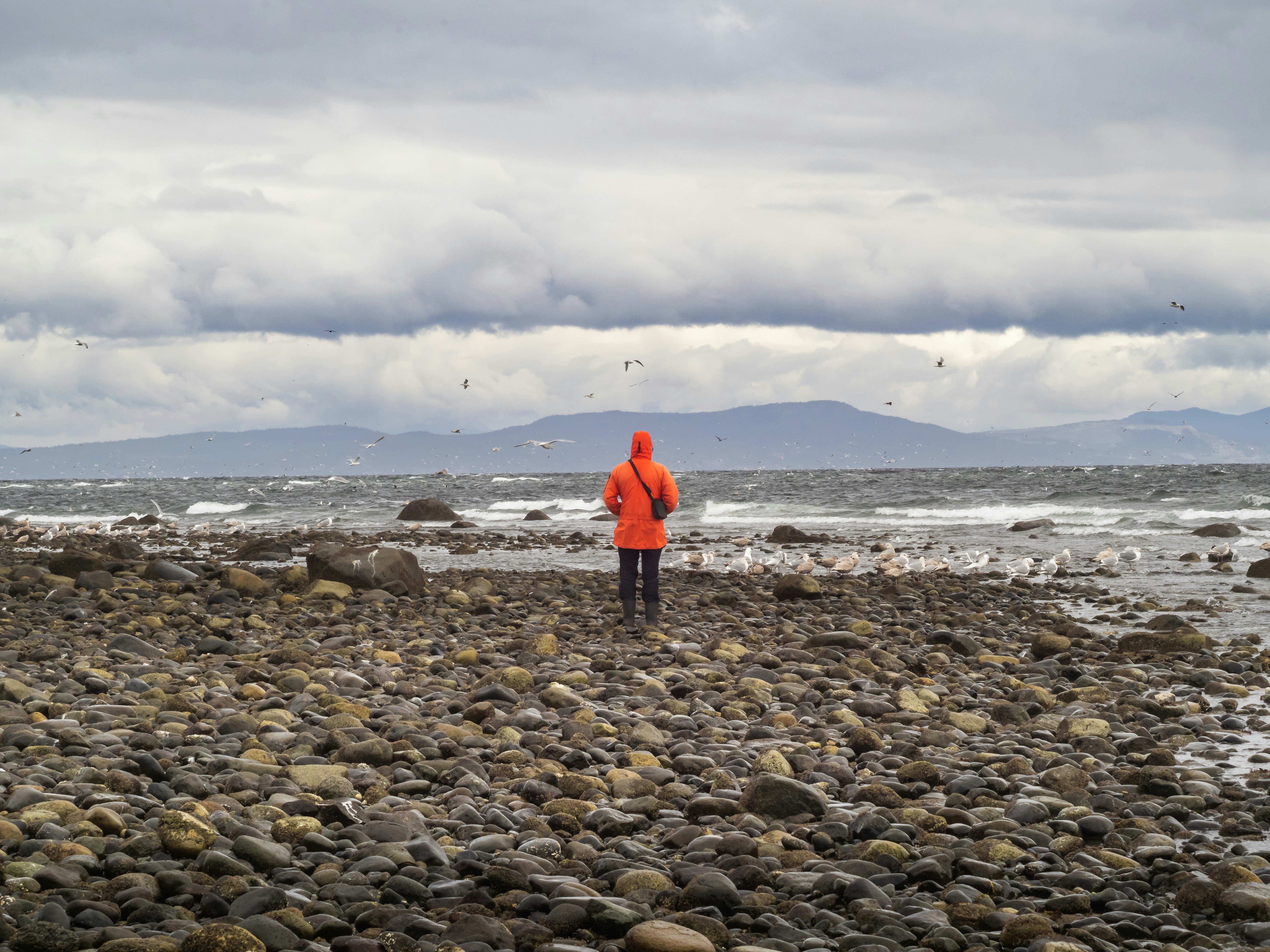 seseorang dengan jaket oranye berdiri di pantai berbatu