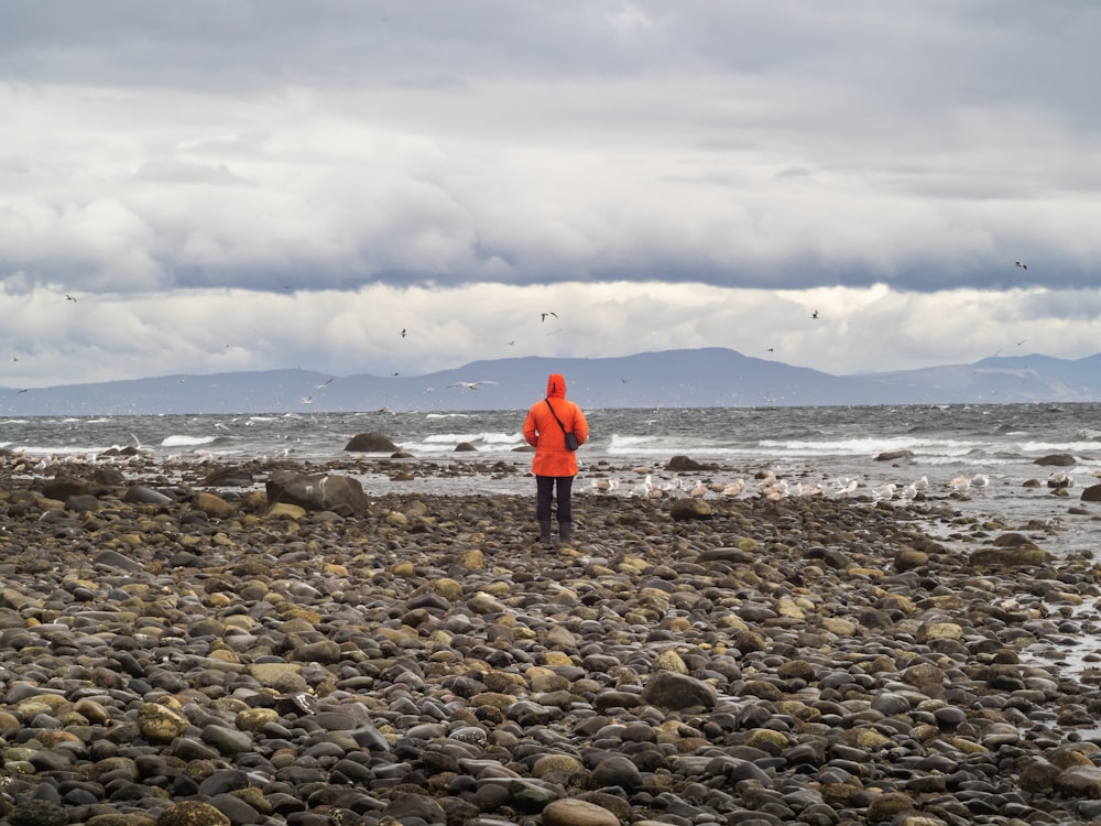 a person in an orange jacket standing on a rocky beach