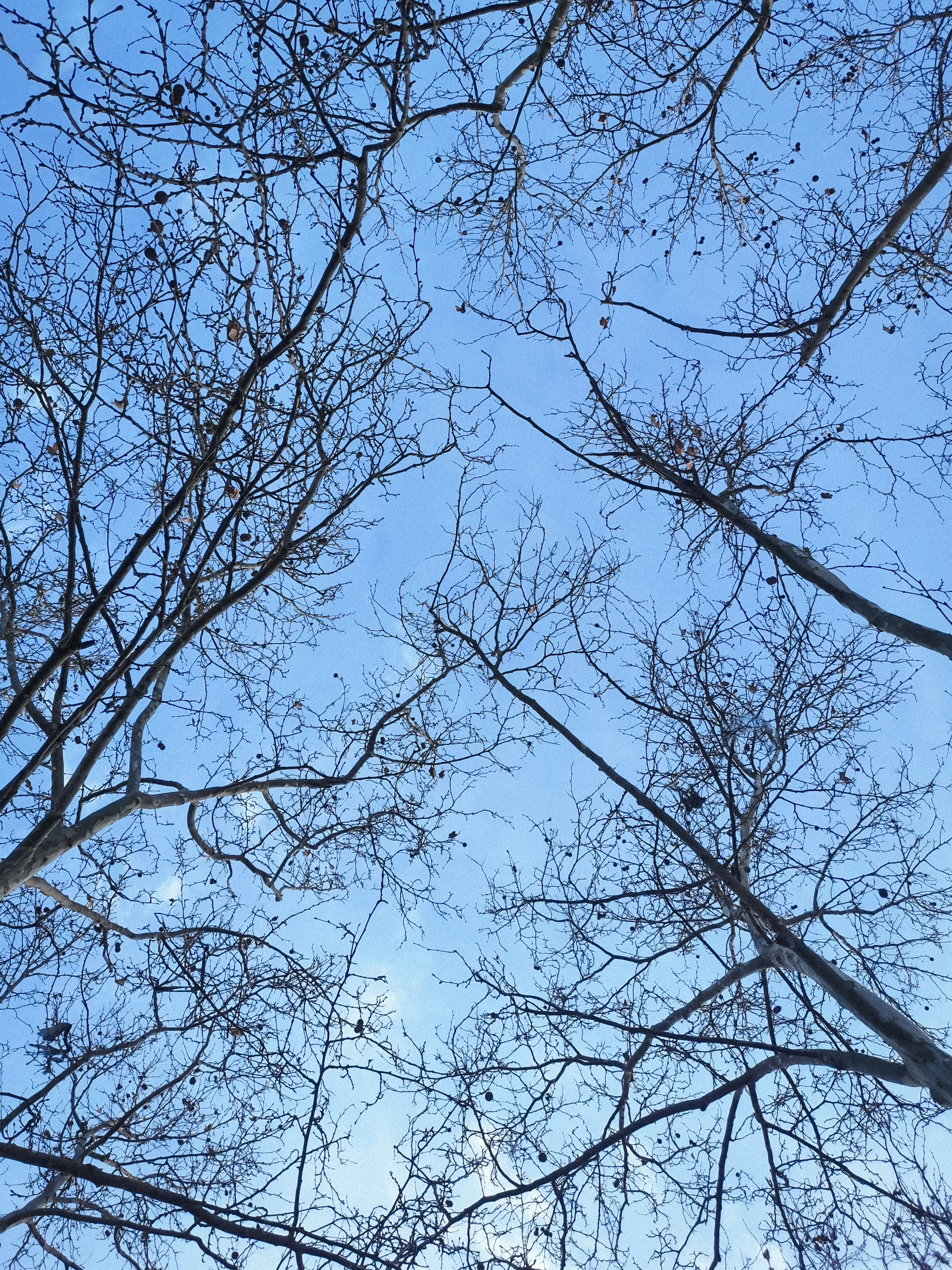 Photo by fethibenattallah