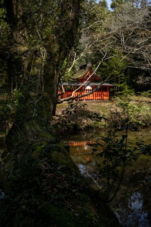 A serene forest setting featuring a small red shrine partially hidden among lush trees. The shrine, with its traditional architecture, stands near a calm pond, reflecting its vibrant color in the water. Dark green moss covers the foreground tree trunk, emphasizing the tranquil atmosphere of nature.