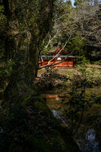 A serene forest setting featuring a small red shrine partially hidden among lush trees. The shrine, with its traditional architecture, stands near a calm pond, reflecting its vibrant color in the water. Dark green moss covers the foreground tree trunk, emphasizing the tranquil atmosphere of nature.