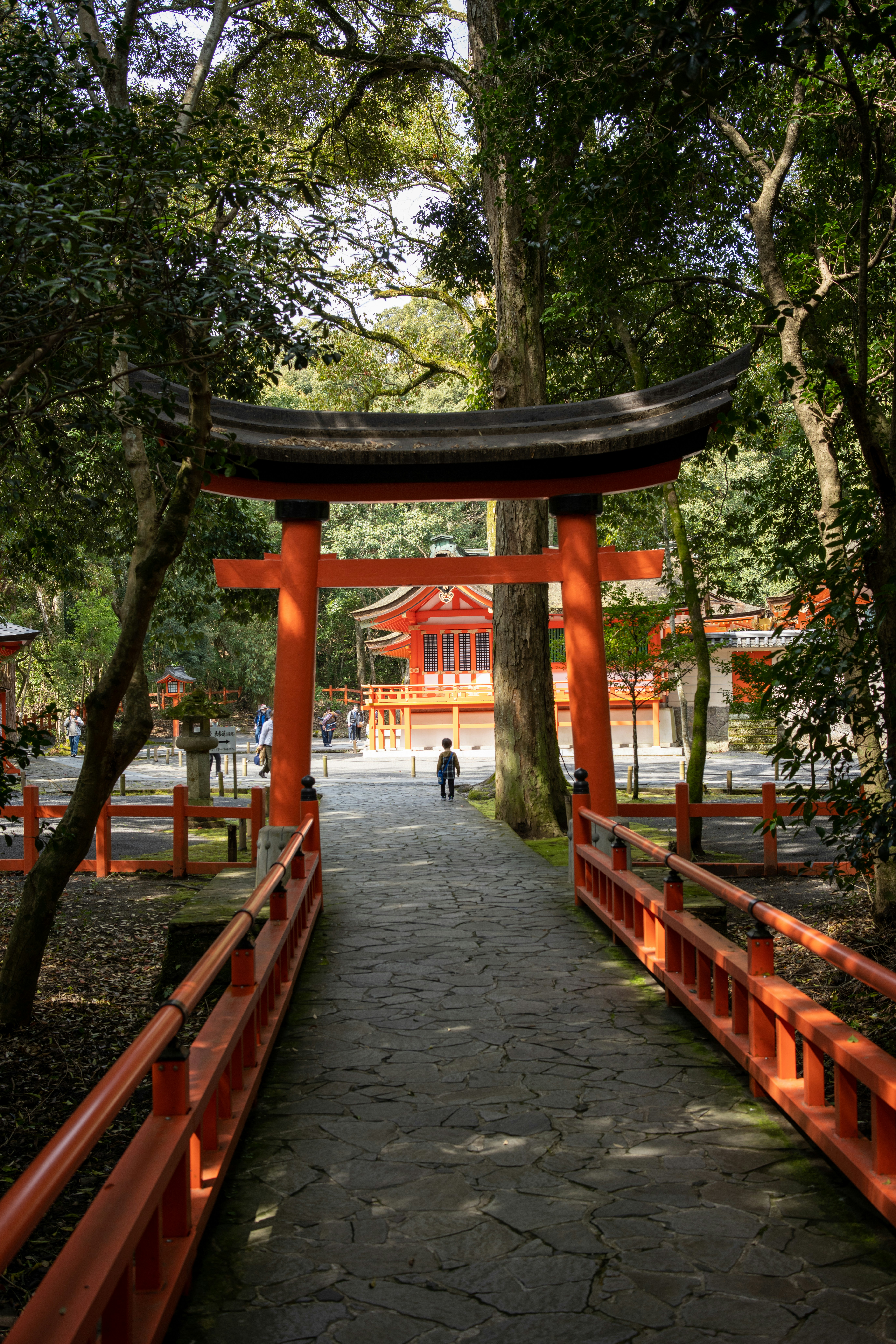 a person walking down a path in a park