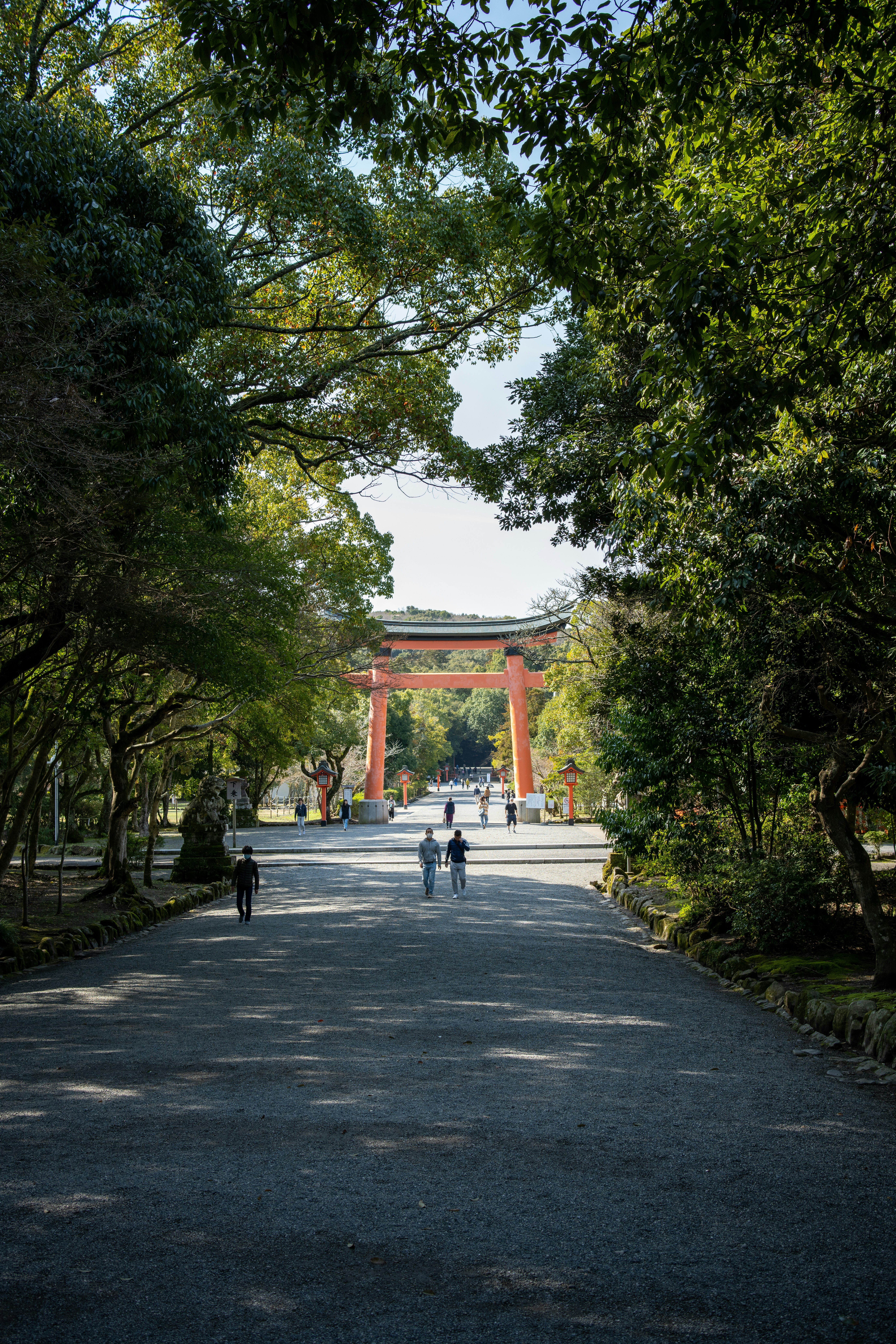 Photo by pafuxu