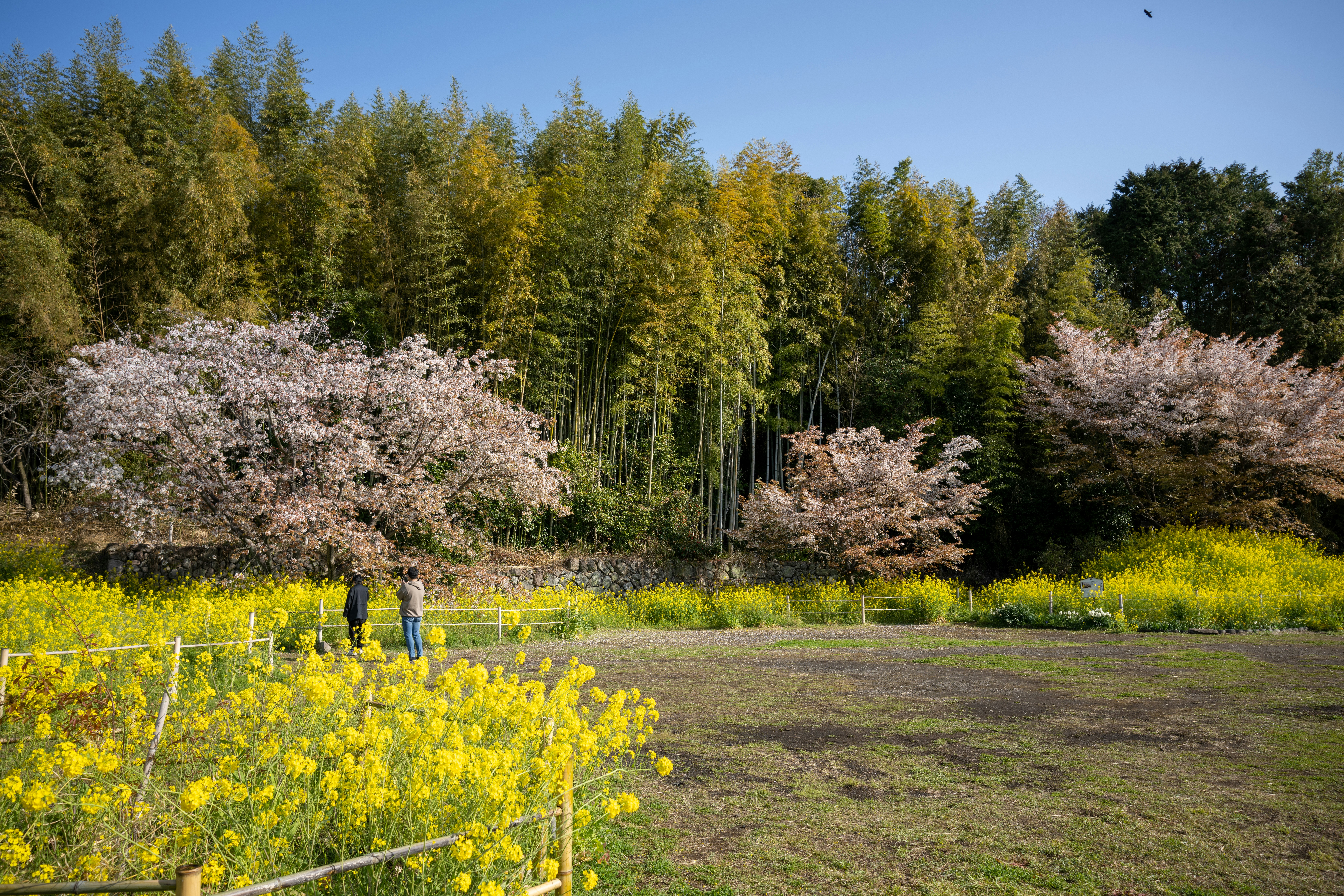 I'itoi Park