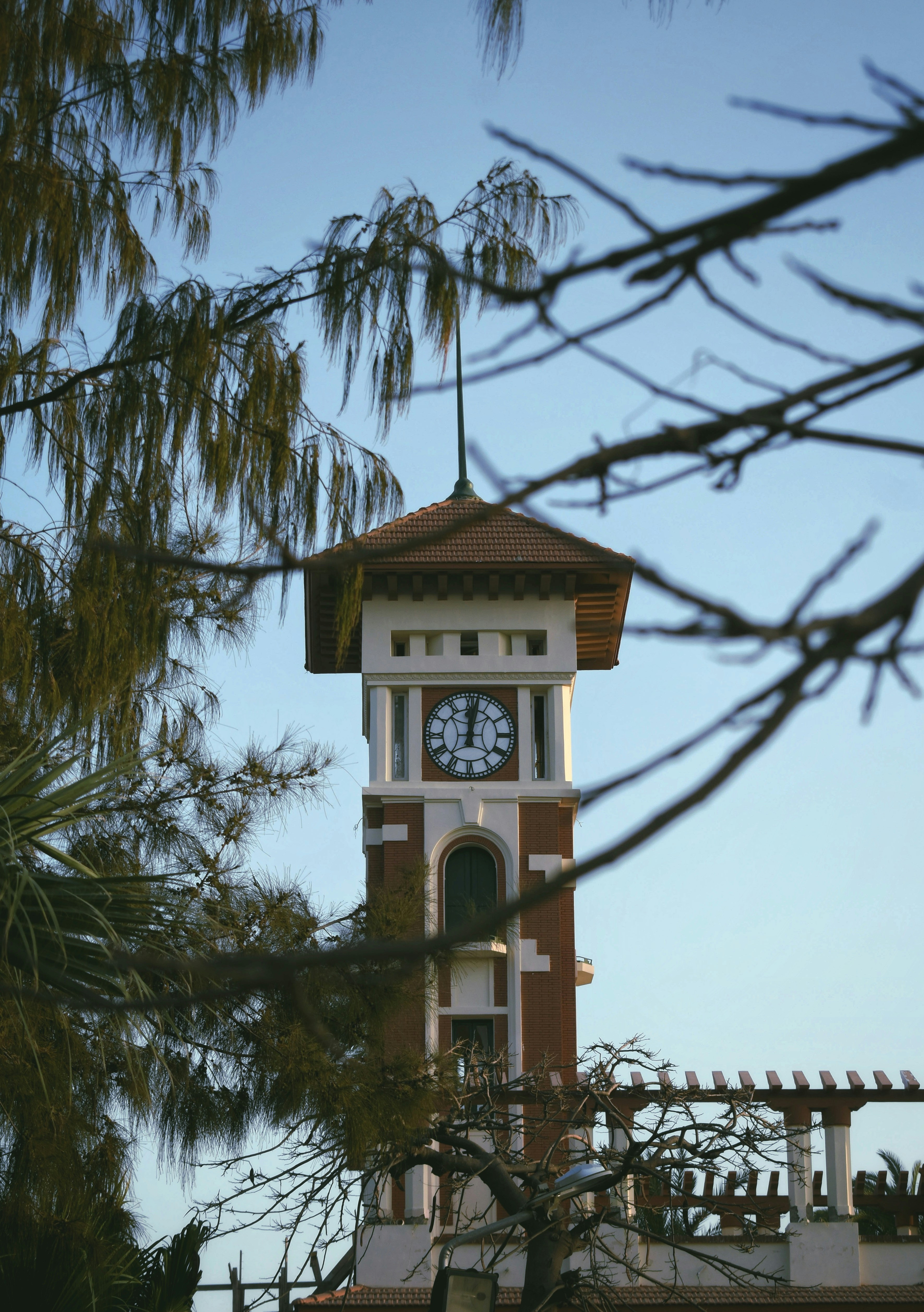 Photo by ahmedzaki25