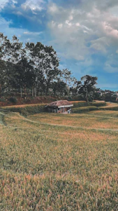 A serene view of lush green plots with a backdrop of a cozy wellness cottage under a clear blue sky.