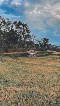 A serene countryside landscape in Portugal with small eco-friendly bungalows nestled among green fields.