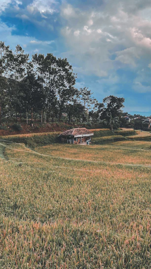 A serene view of lush green plots with a backdrop of a cozy wellness cottage under a clear blue sky.