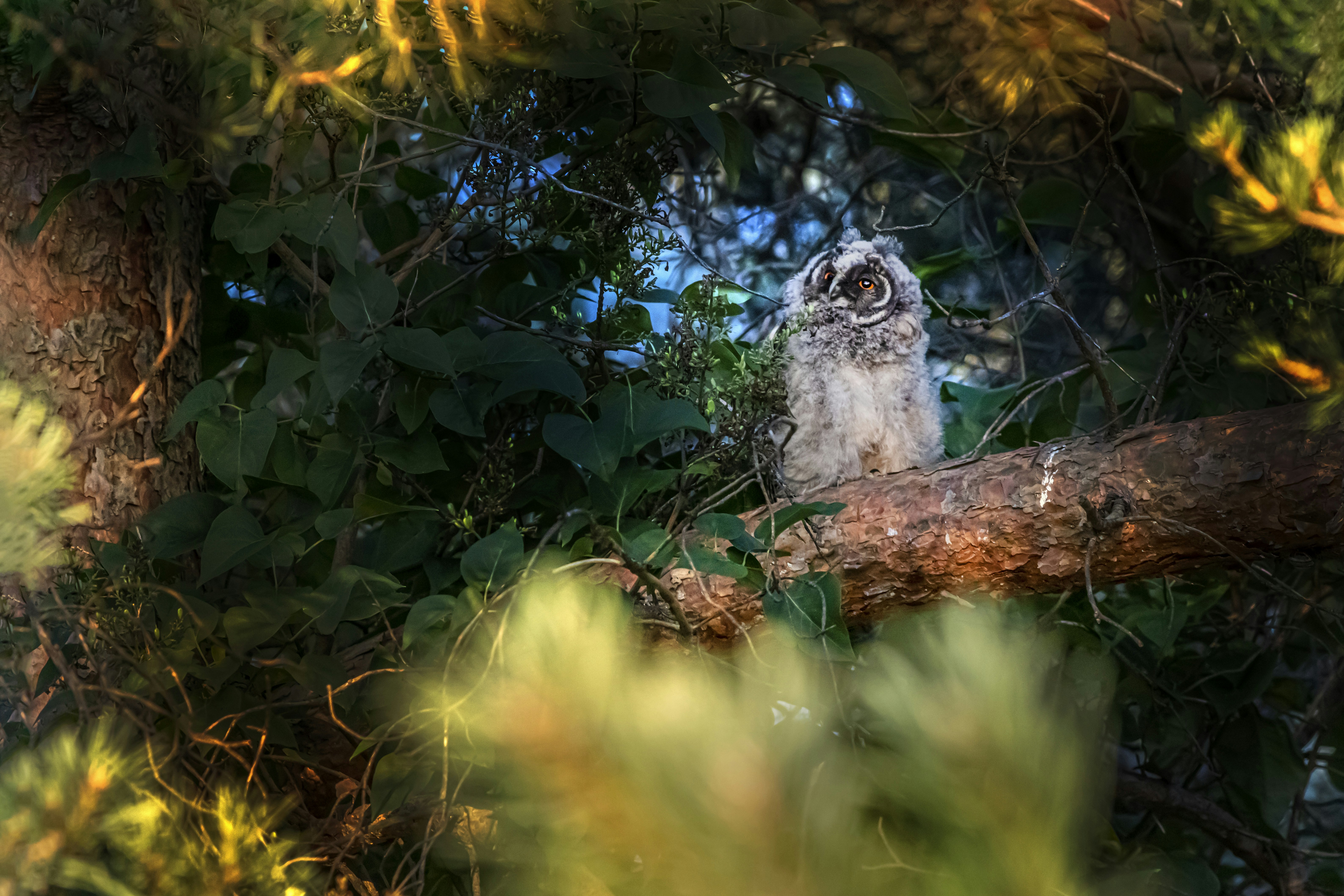 Photo by erik_karits