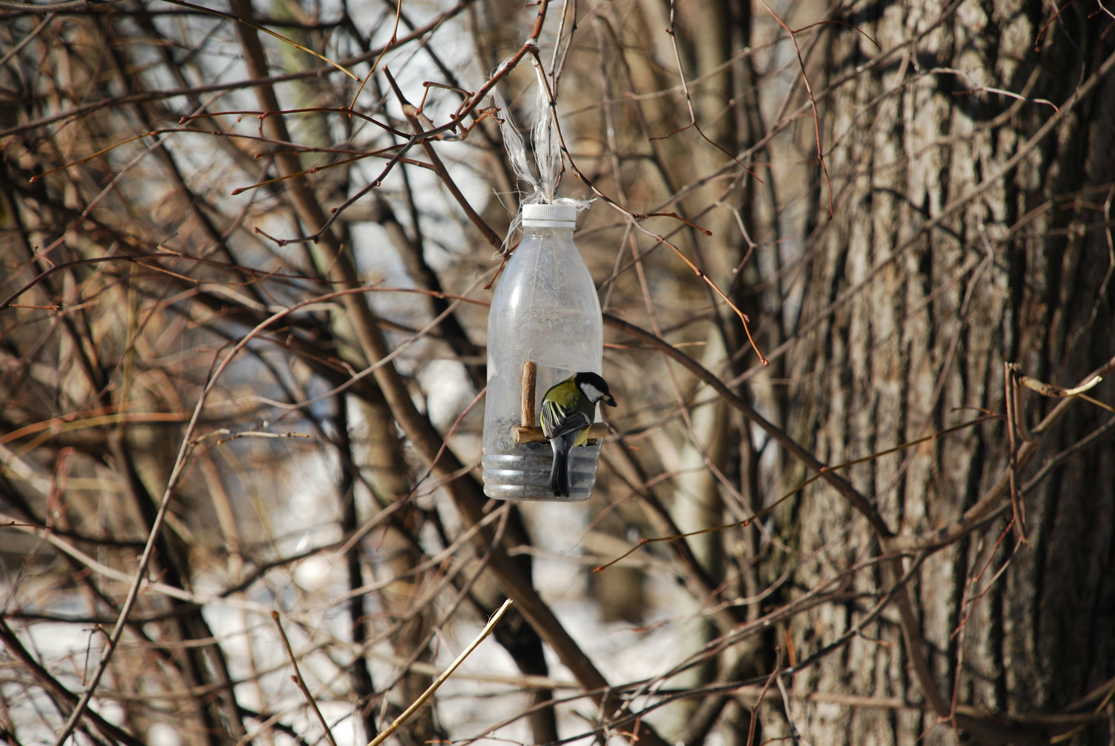 a silo tower bird feeder 