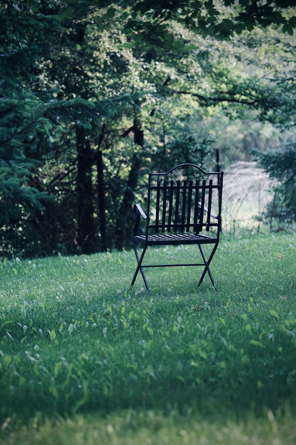um banco de madeira sentado em cima de um campo verde exuberante