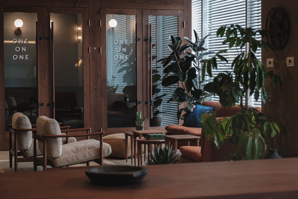 a living room filled with furniture and a plant