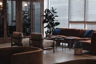 a living room filled with furniture and a tall plant