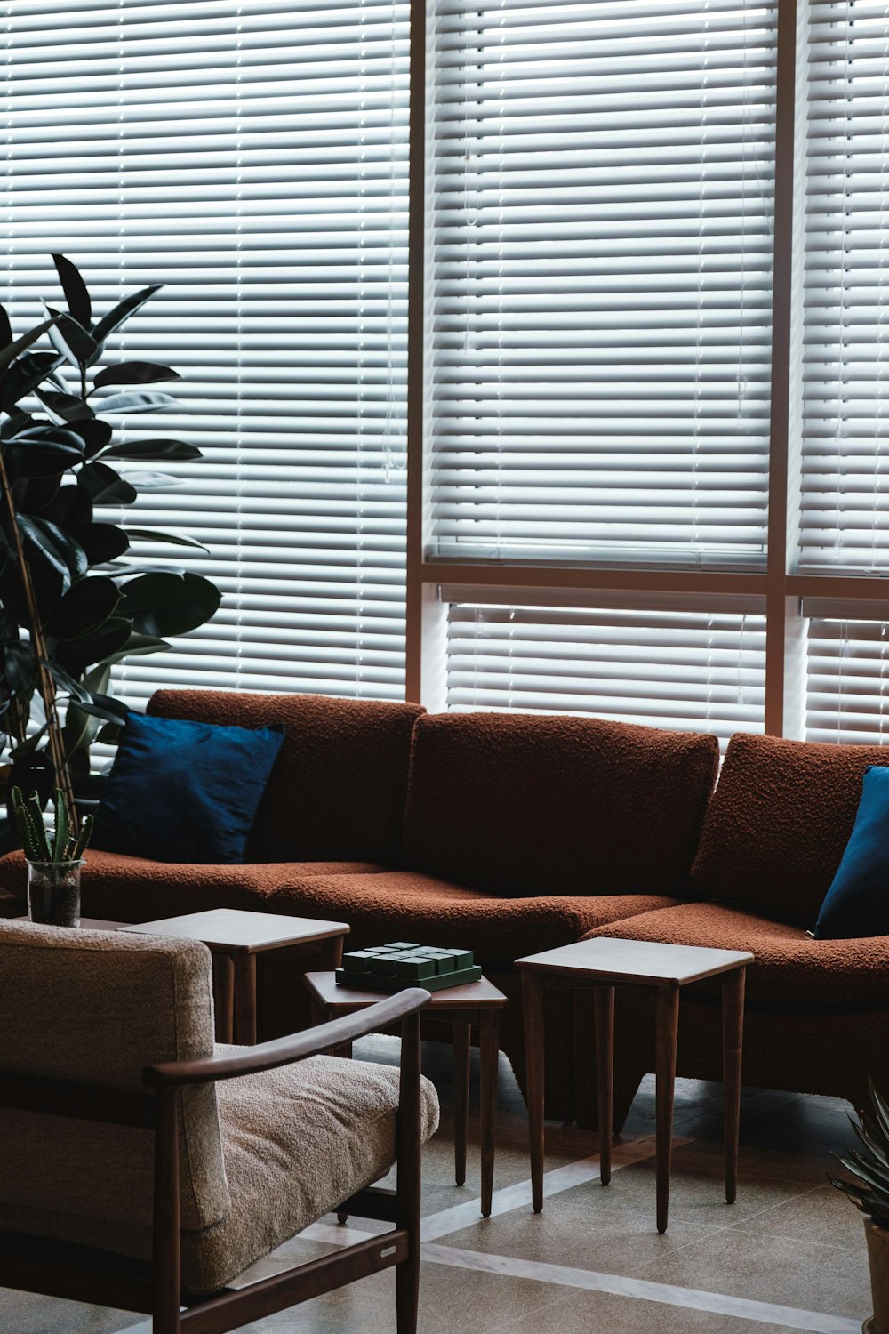 a living room filled with furniture and a plant